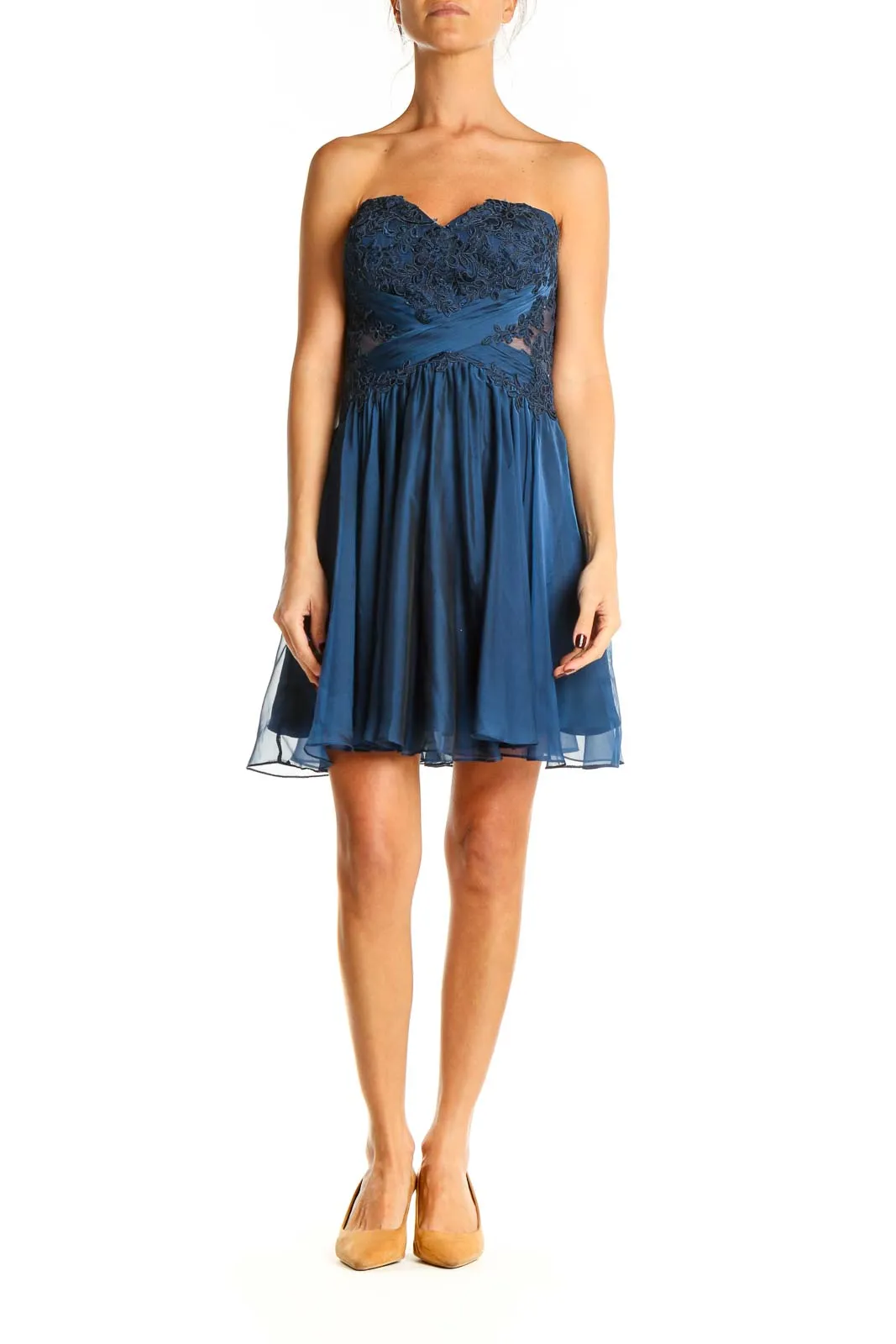 Blue Lace Semi-Floral Fit & Flare Dress