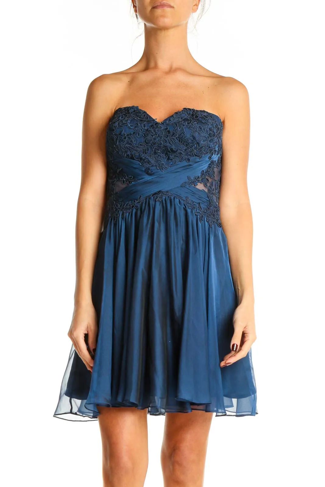 Blue Lace Semi-Floral Fit & Flare Dress